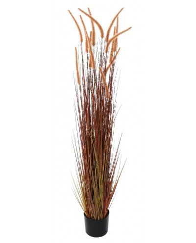 Trawa pionowa ornamental flower 150cm