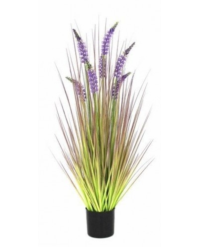 Trawa pionowa lavender 90 cm